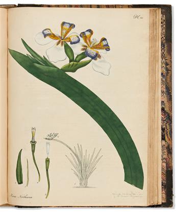 ANDREWS, HENRY. The Botanists Repository, for New, and Rare Plants.